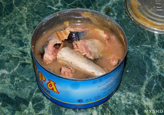 Рыба голубых кровей — сайра: какова ее польза и есть ли вред от консервов?