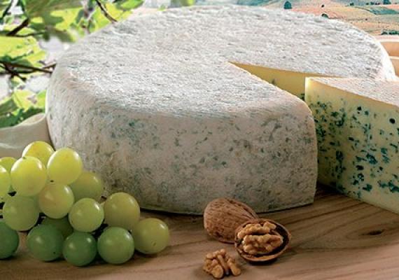 Голубой сыр с плесенью - полезные свойства и рецепт Сыр с плесенью таблица содержания белков