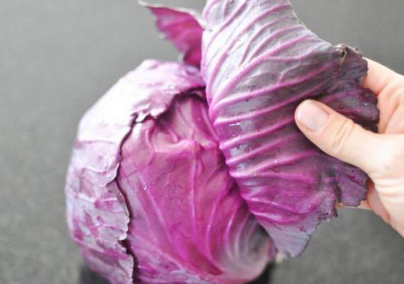 Салат с капустой и майонезом – рецепт приготовления